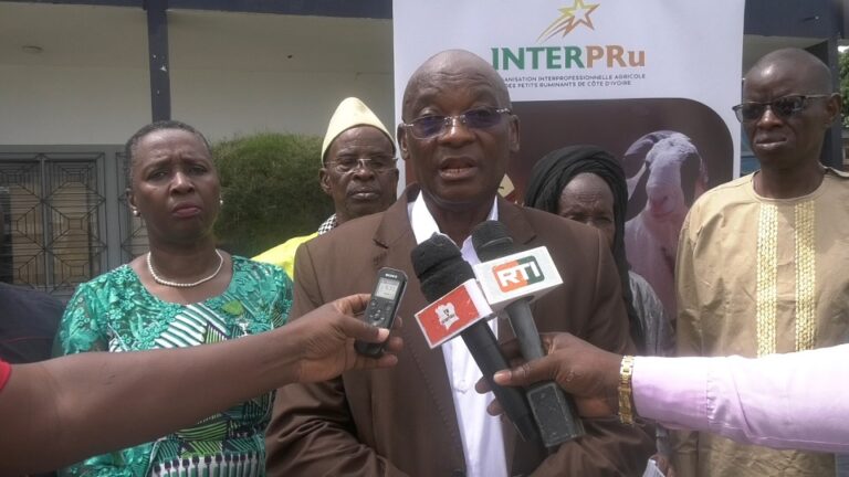 Côte d’Ivoire-AIP/ L’organisation interprofessionnelle des petits ruminants lance officiellement ses activités