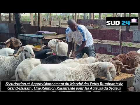 Image du Projet 